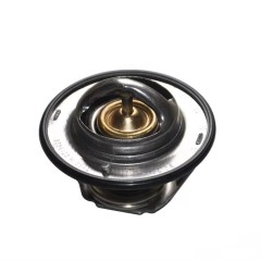 Термостат ISBe