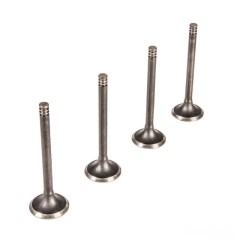 Клапан впускной ГБЦ