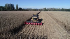 ЖАТКА ДЛЯ УБОРКИ КУКУРУЗЫ CAPELLO DIAMANT 