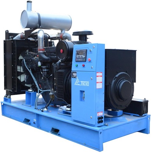 Дизель-генераторная установка  ТСС АД-200С-Т400-1РМ5 ПРОФ (TSS) (Открытый) 029727