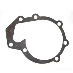 Прокладка водяного насоса